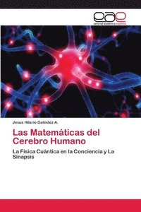 bokomslag Las Matematicas del Cerebro Humano