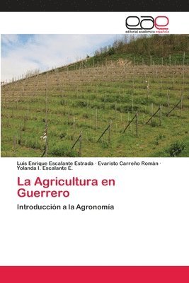 La Agricultura en Guerrero 1