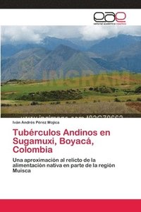 bokomslag Tubrculos Andinos en Sugamuxi, Boyac, Colombia