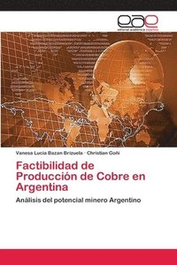 bokomslag Factibilidad de Produccin de Cobre en Argentina