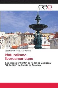 bokomslag Naturalismo Iberoamericano