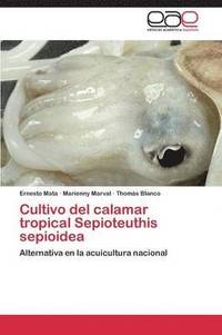 bokomslag Cultivo del calamar tropical Sepioteuthis sepioidea