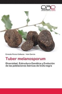 bokomslag Tuber melanosporum