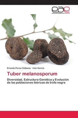 Tuber melanosporum 1