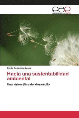 bokomslag Hacia una sustentabilidad ambiental