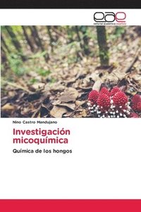 bokomslag Investigacin micoqumica