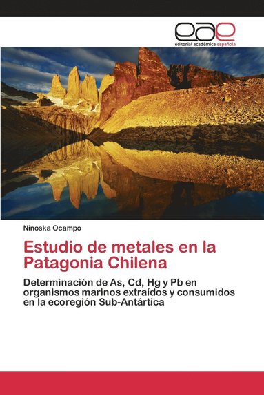 bokomslag Estudio de metales en la Patagonia Chilena