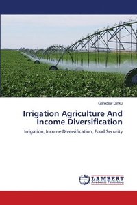 bokomslag Irrigation Agriculture And Income Diversification