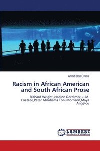 bokomslag Racism in African American and South African Prose