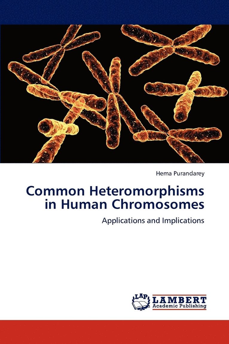 Common Heteromorphisms in Human Chromosomes 1