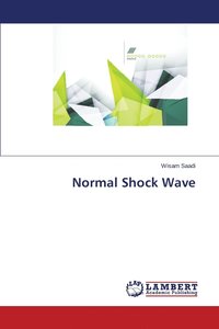 bokomslag Normal Shock Wave