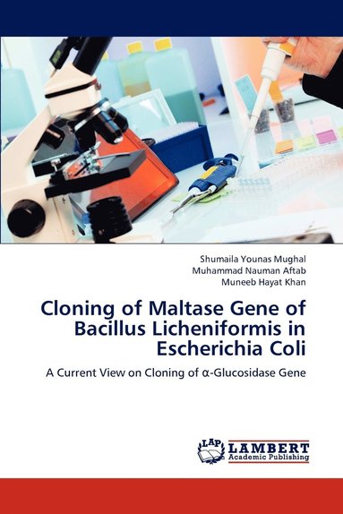 bokomslag Cloning of Maltase Gene of Bacillus Licheniformis in Escherichia Coli
