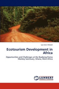 bokomslag Ecotourism Development in Africa