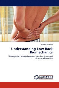 bokomslag Understanding Low Back Biomechanics