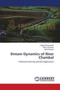 bokomslag Stream Dynamics of River Chambal