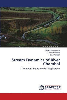 bokomslag Stream Dynamics of River Chambal