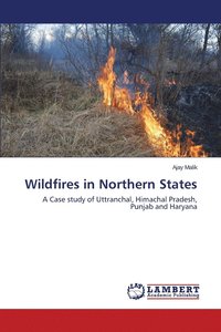 bokomslag Wildfires in Northern States