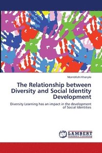 bokomslag The Relationship between Diversity and Social Identity Development