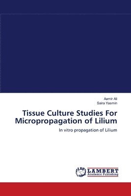 Tissue Culture Studies For Micropropagation of Lilium 1