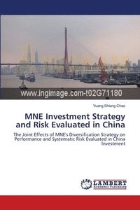 bokomslag MNE Investment Strategy and Risk Evaluated in China