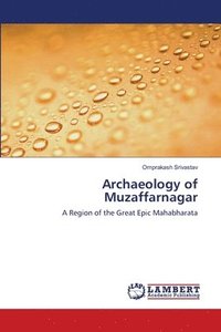 bokomslag Archaeology of Muzaffarnagar