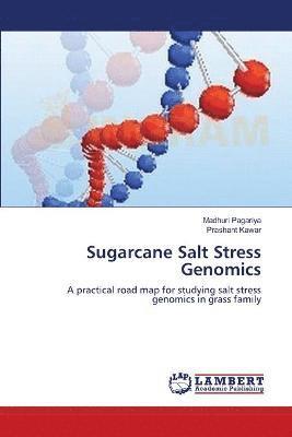 bokomslag Sugarcane Salt Stress Genomics