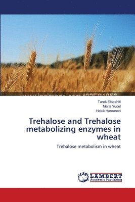 Trehalose and Trehalose metabolizing enzymes in wheat 1