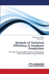 bokomslag Analysis of Technical Efficiency in Sorghum Production