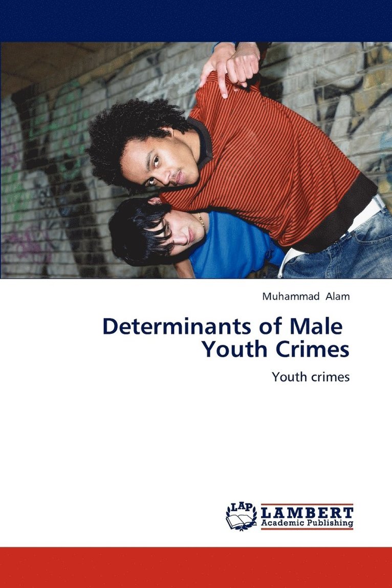 Determinants of Male Youth Crimes 1