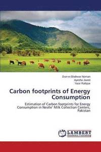 bokomslag Carbon Footprints of Energy Consumption