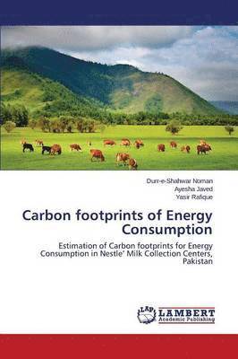 Carbon Footprints of Energy Consumption 1