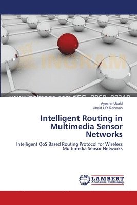 Intelligent Routing in Multimedia Sensor Networks 1