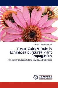 bokomslag Tissue Culture Role in Echinacea Purpurea Plant Propagation