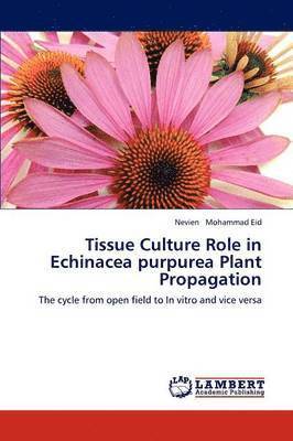 bokomslag Tissue Culture Role in Echinacea Purpurea Plant Propagation
