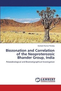 bokomslag Biozonation and Correlation of the Neoproterozoic Bhander Group, India