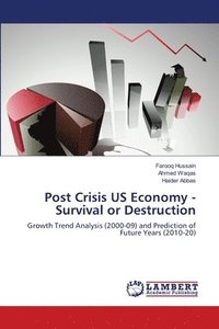 bokomslag Post Crisis US Economy - Survival or Destruction
