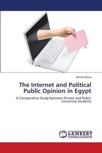 bokomslag The Internet and Political Public Opinion in Egypt