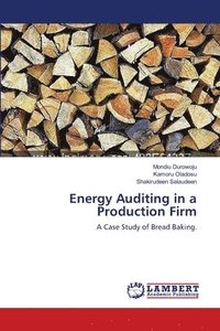 bokomslag Energy Auditing in a Production Firm