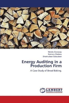 Energy Auditing in a Production Firm 1