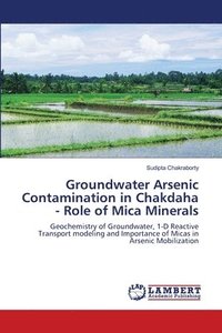 bokomslag Groundwater Arsenic Contamination in Chakdaha - Role of Mica Minerals