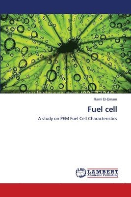 Fuel cell 1