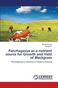 bokomslag Panchagavya as a nutrient source for Growth and Yield of Blackgram