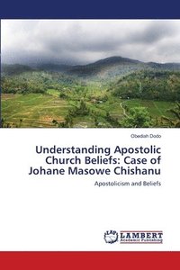 bokomslag Understanding Apostolic Church Beliefs