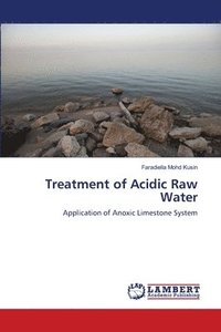 bokomslag Treatment of Acidic Raw Water