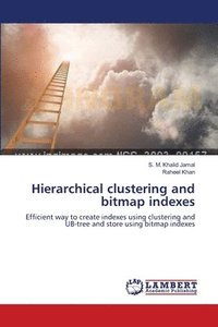 bokomslag Hierarchical clustering and bitmap indexes
