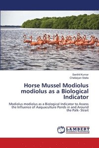 bokomslag Horse Mussel Modiolus modiolus as a Biological Indicator
