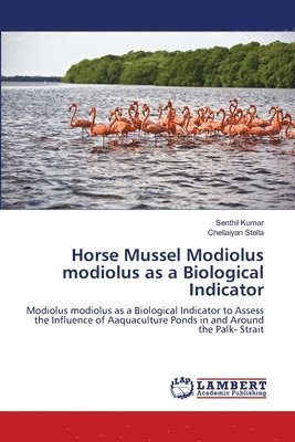 bokomslag Horse Mussel Modiolus modiolus as a Biological Indicator