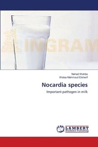 bokomslag Nocardia species