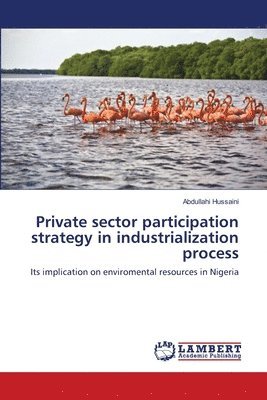 Private sector participation strategy in industrialization process 1