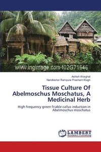 bokomslag Tissue Culture Of Abelmoschus Moschatus, A Medicinal Herb